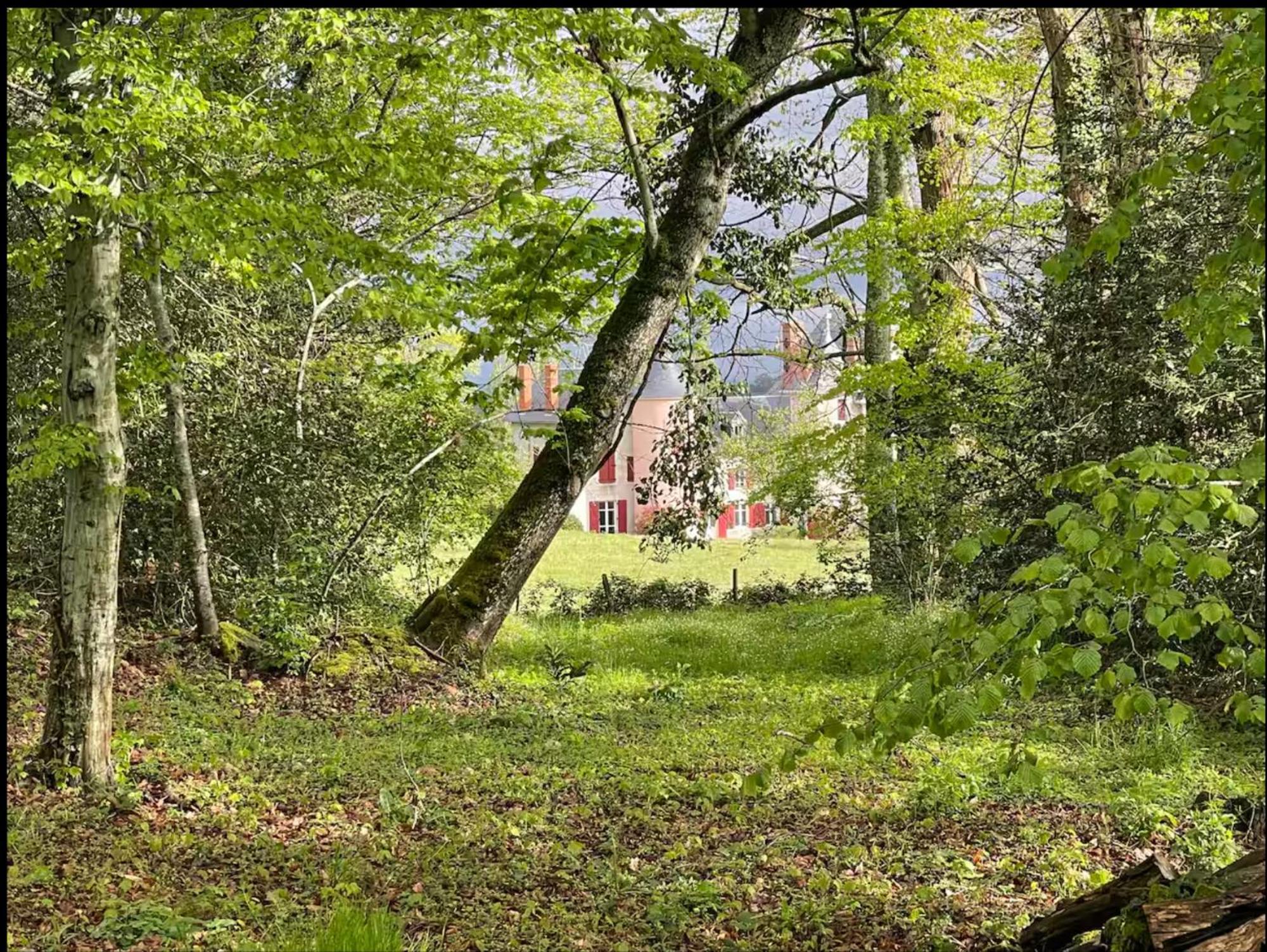 Chateau De La Combe La Celle  Exterior foto